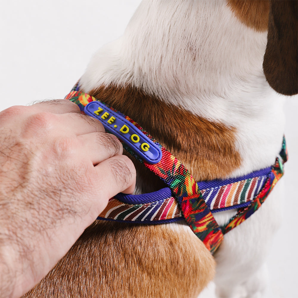 Farm Samba Softer Walk Harness