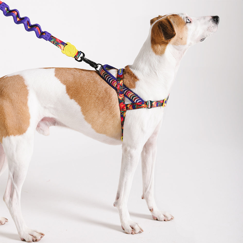 Farm Samba Softer Walk Harness