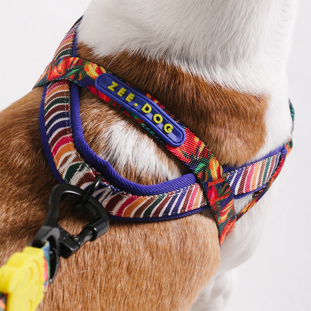 Farm Samba Softer Walk Harness