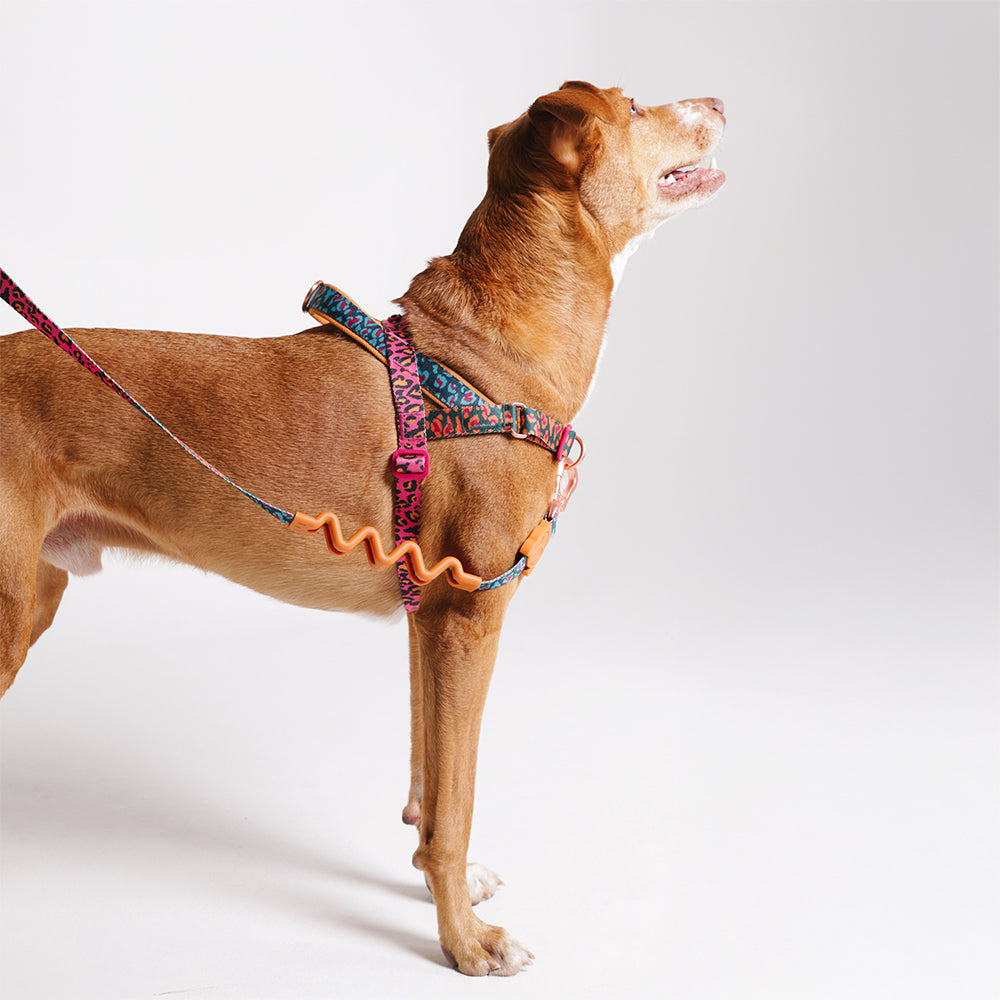 Farm Selva Softer Walk Harness