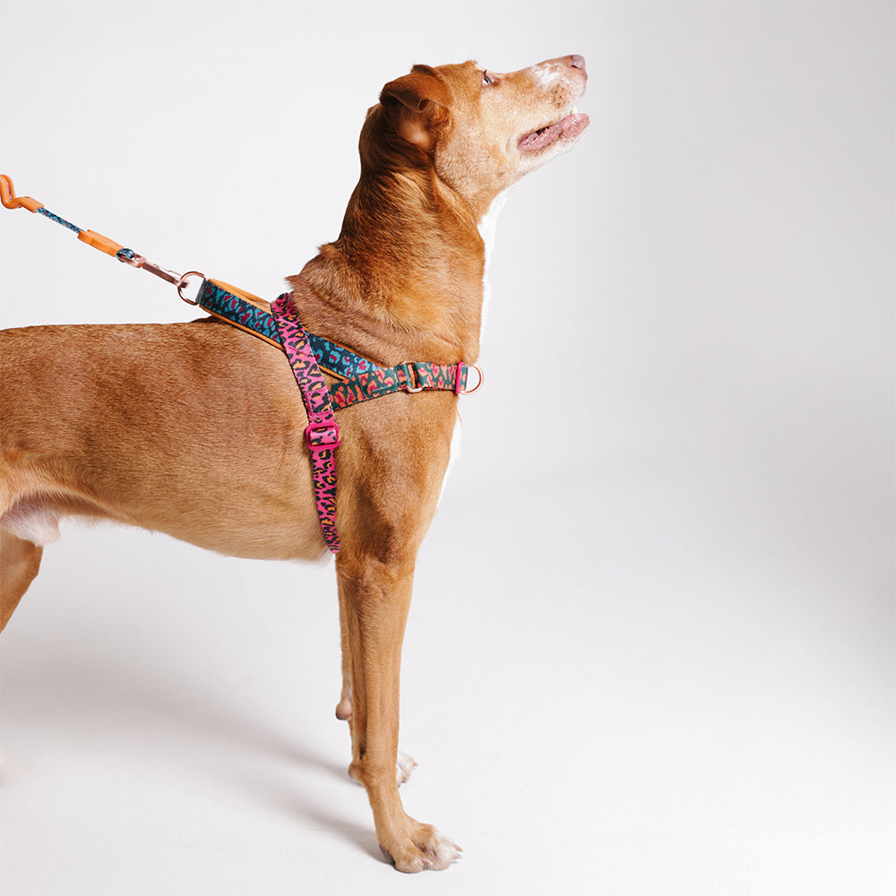 Farm Selva Softer Walk Harness