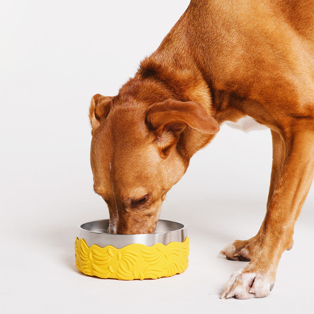 Farm Tuff Bowl Bossa Banana