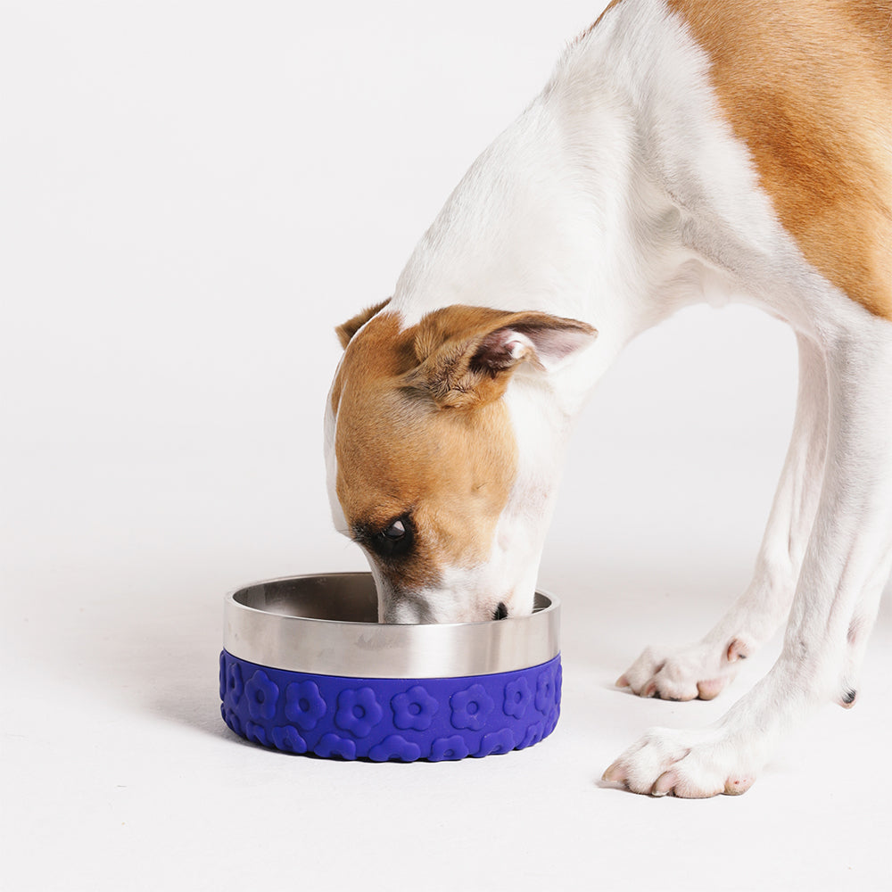 Farm Tuff Bowl Samba