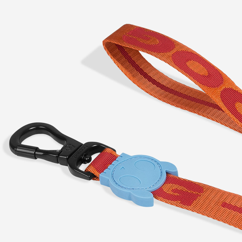GIBSON LEASH