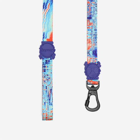 GLITCH ERROR #404 LEASH