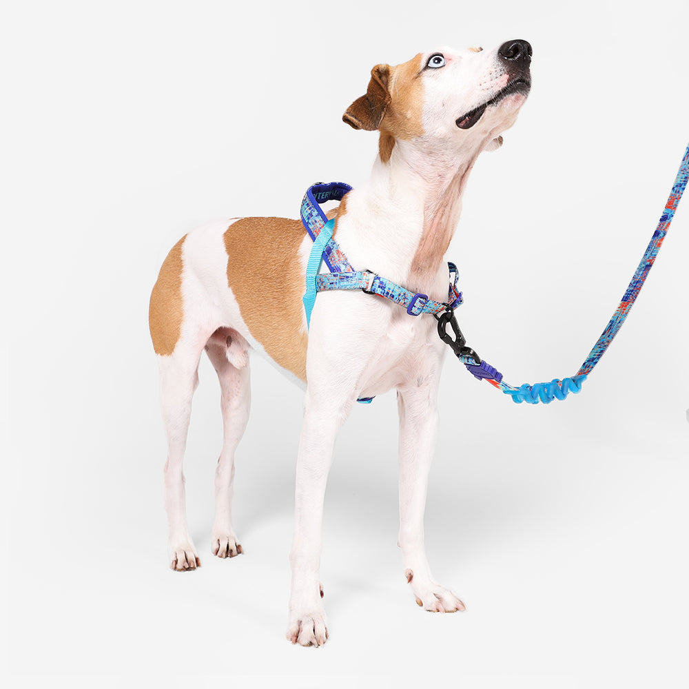 GLITCH ERROR #404 SOFTER WALK HARNESS