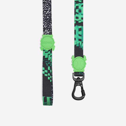 GLITCH ERROR #410 LEASH