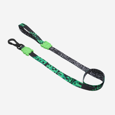 GLITCH ERROR #410 LEASH