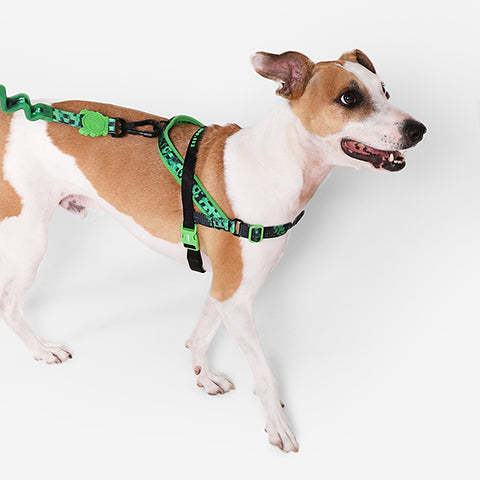 GLITCH ERROR #410 SOFTER WALK HARNESS