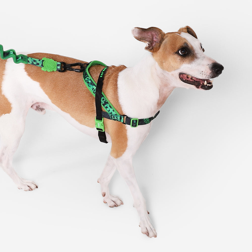 GLITCH ERROR #410 SOFTER WALK HARNESS