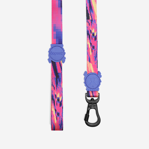 GLITCH ERROR #500 LEASH