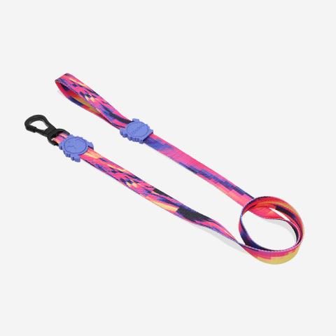 GLITCH ERROR #500 LEASH