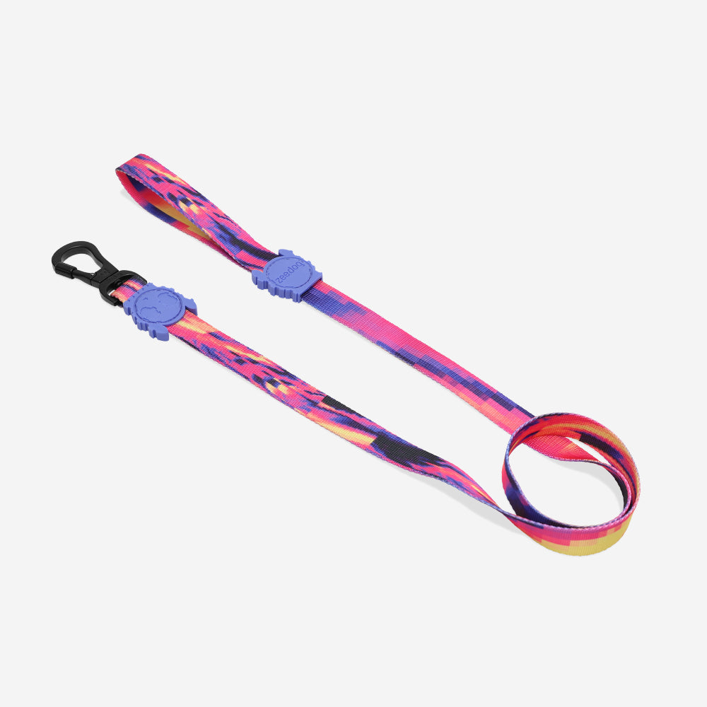 GLITCH ERROR #500 LEASH