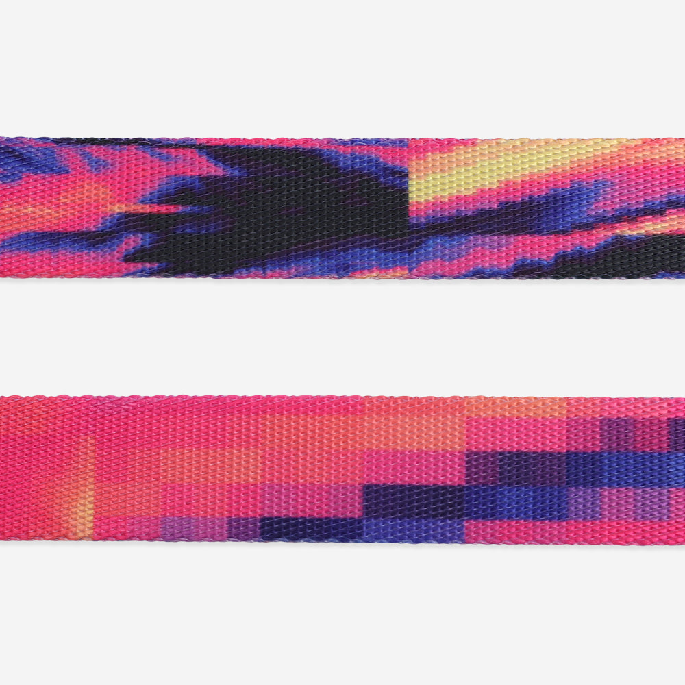 GLITCH ERROR #500 LEASH