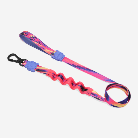 GLITCH ERROR #500 RUFF LEASH