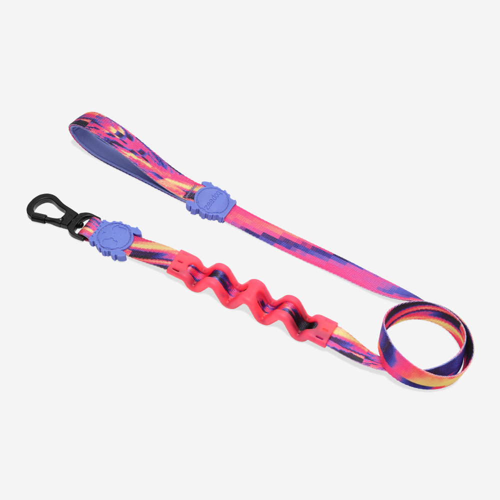 GLITCH ERROR #500 RUFF LEASH