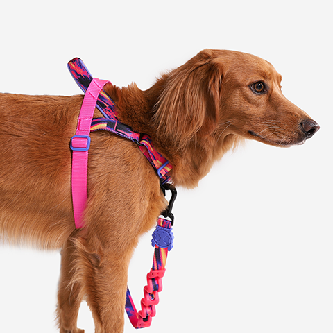 GLITCH ERROR #500 SOFTER WALK HARNESS