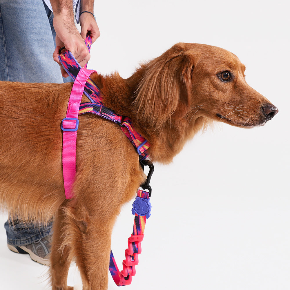 GLITCH ERROR #500 SOFTER WALK HARNESS