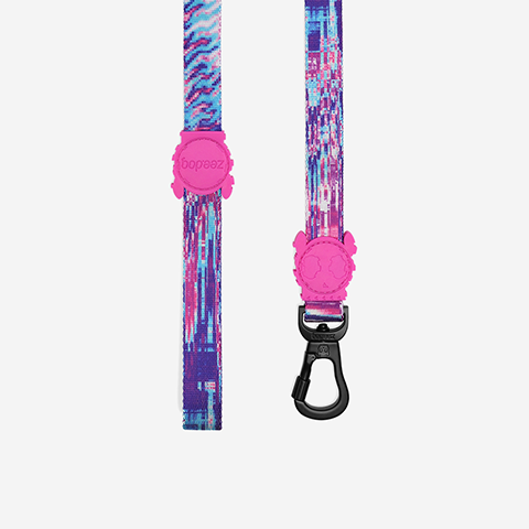 GLITCH ERROR #502 LEASH