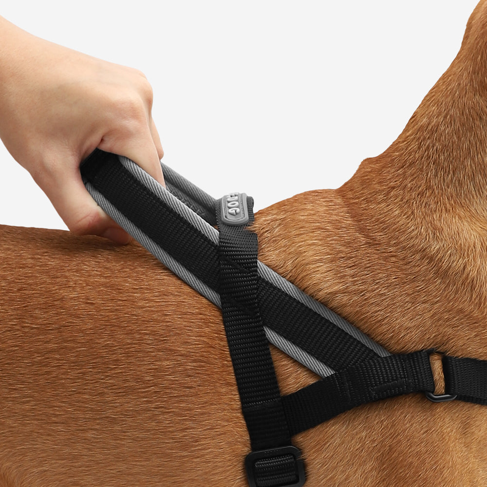 GOTHAM SOFTER WALK HARNESS