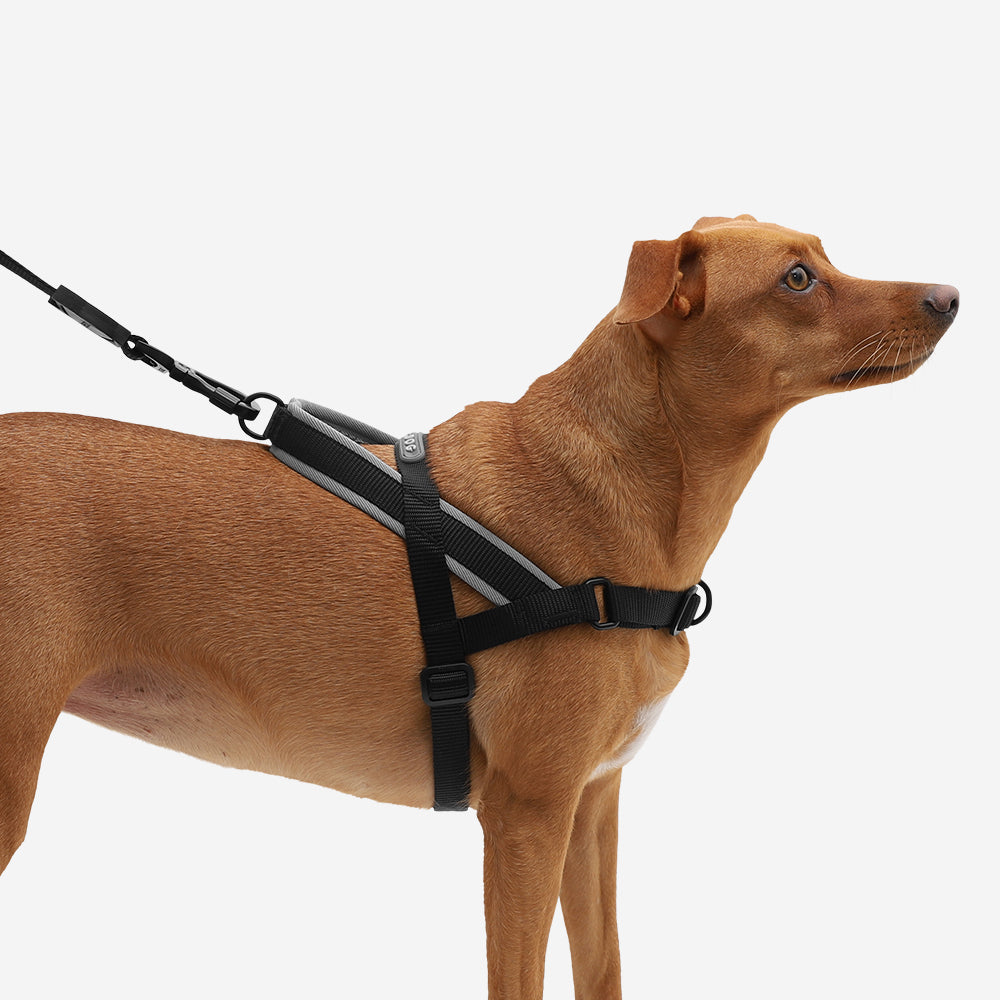 GOTHAM SOFTER WALK HARNESS