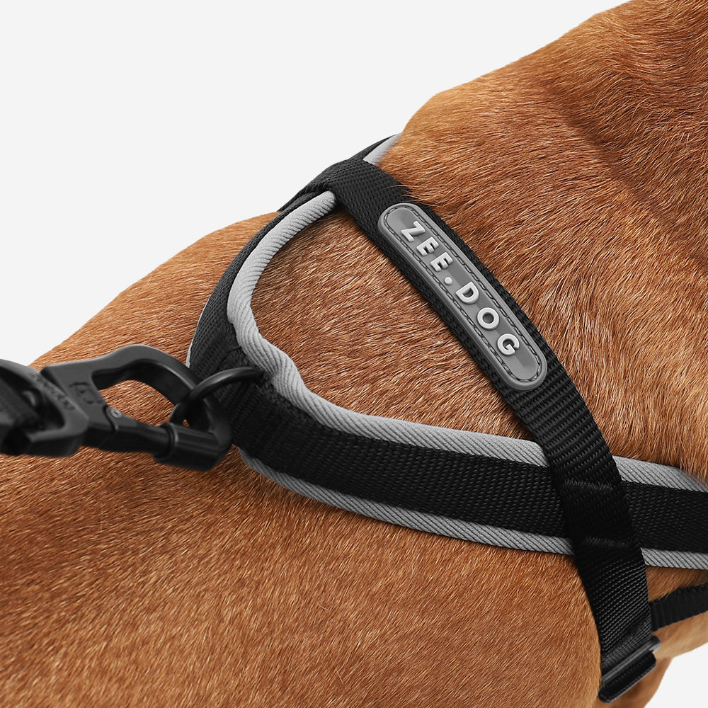 GOTHAM SOFTER WALK HARNESS