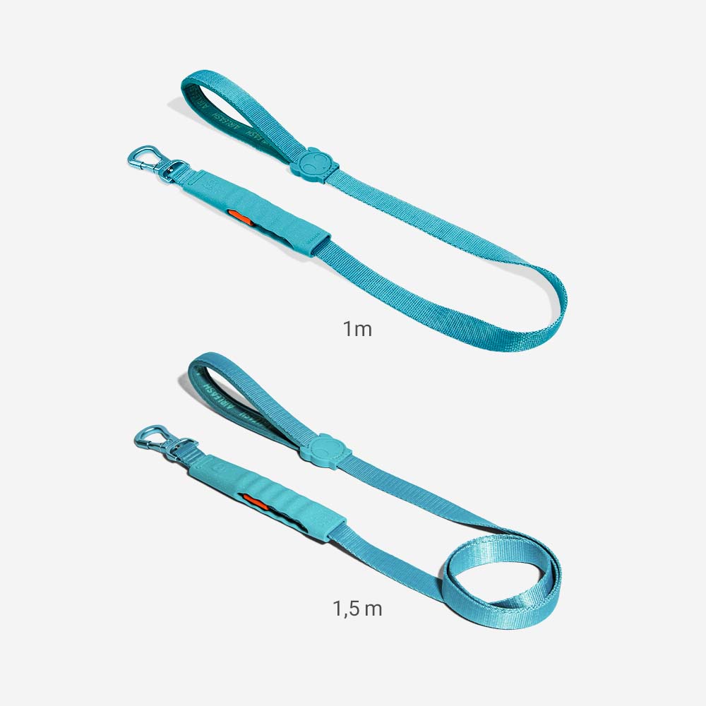 BLUE AIR-LEASH 1 METER