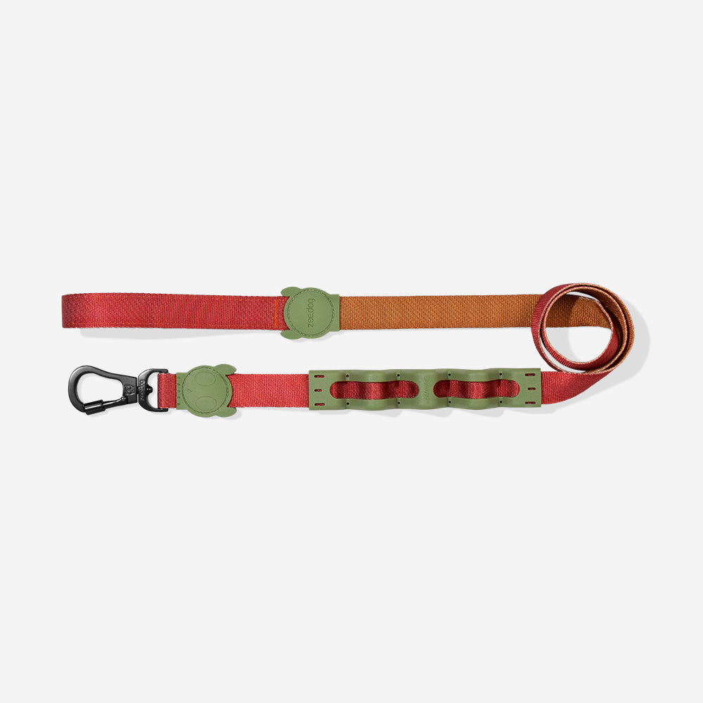 BIT RUFF LEASH