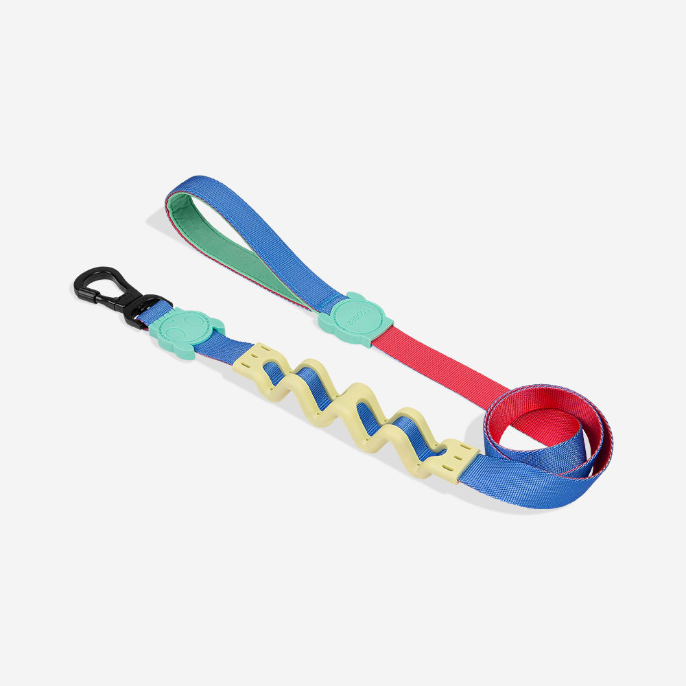 MELLOW RUFF LEASH