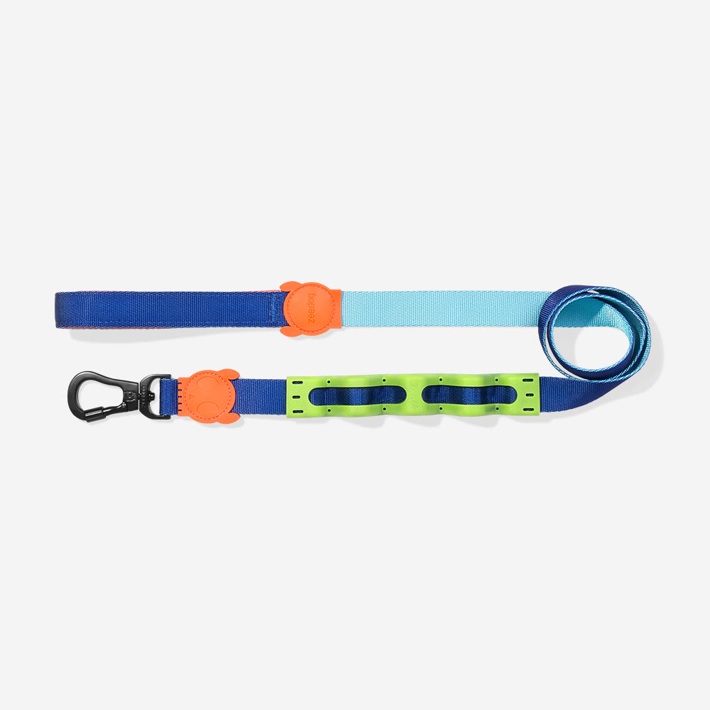 ORBIT RUFF LEASH
