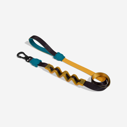 VALLEY RUFF LEASH