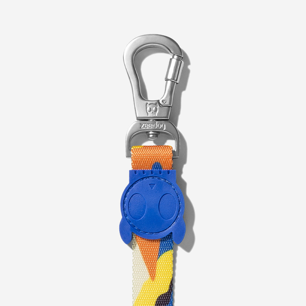 Artsy Leash