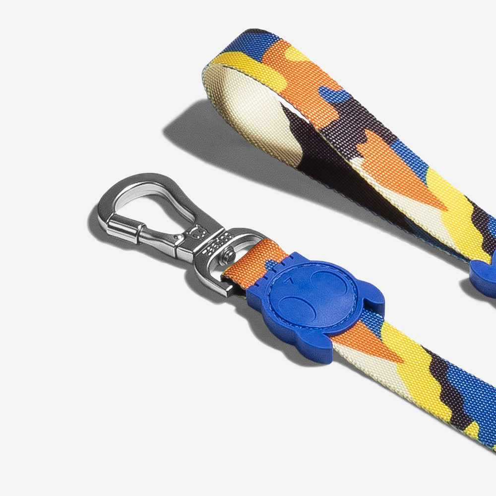 Artsy Leash