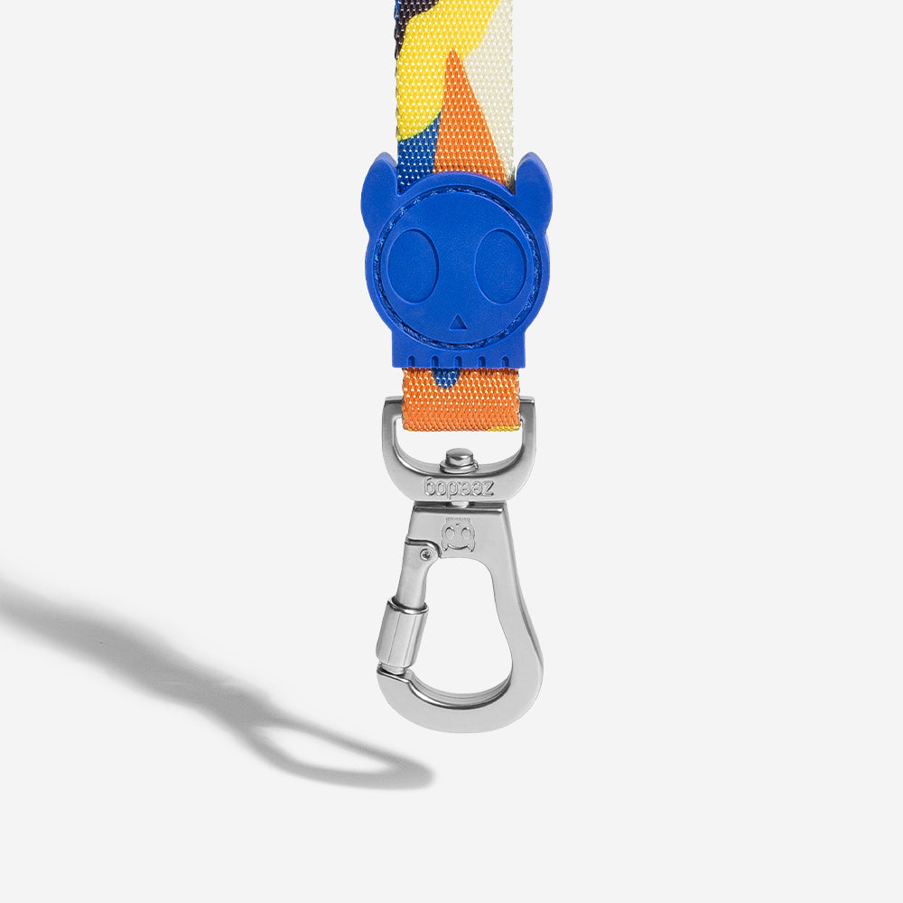 Artsy Leash