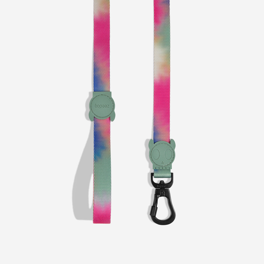 BLISS LEASH
