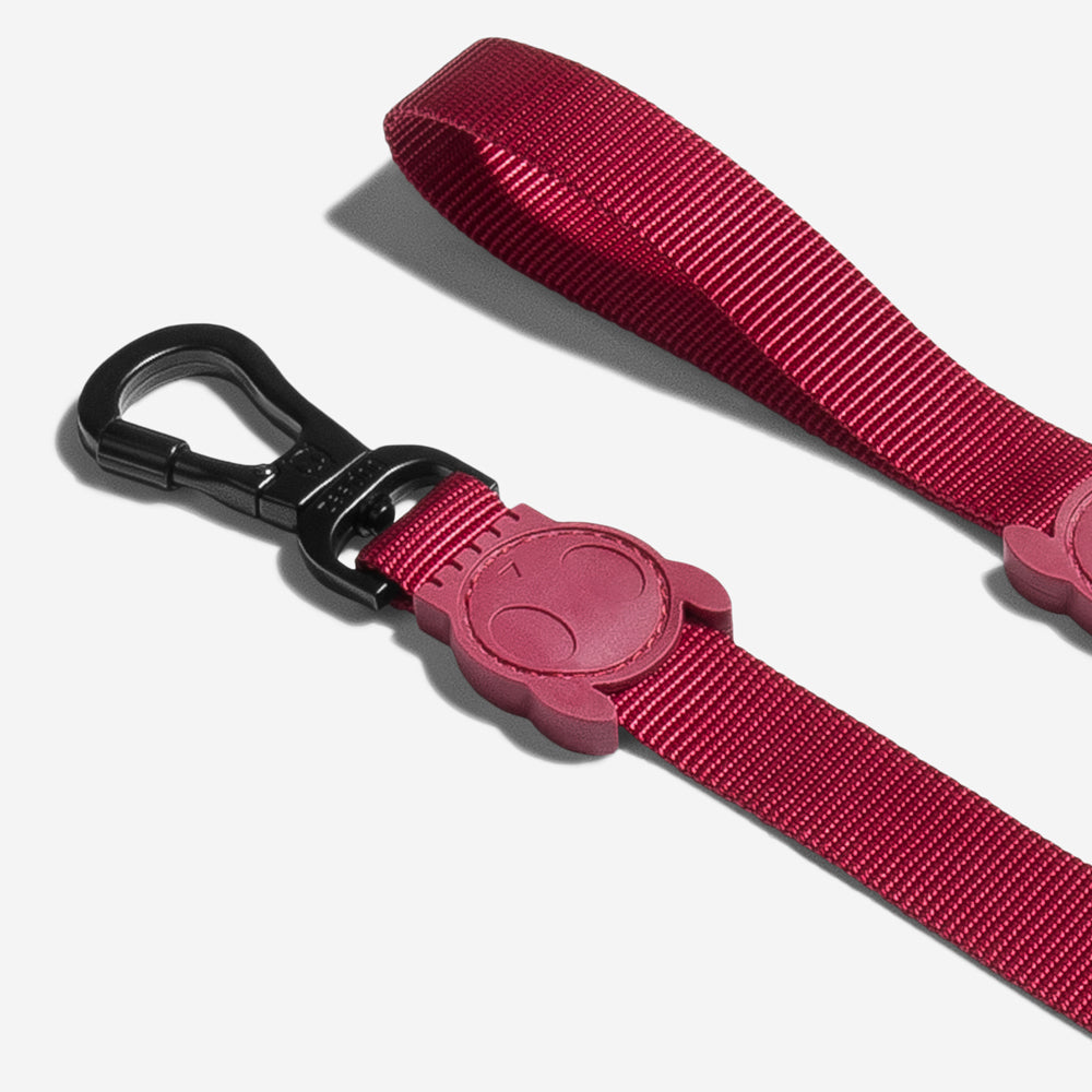 BORDEAU LEASH