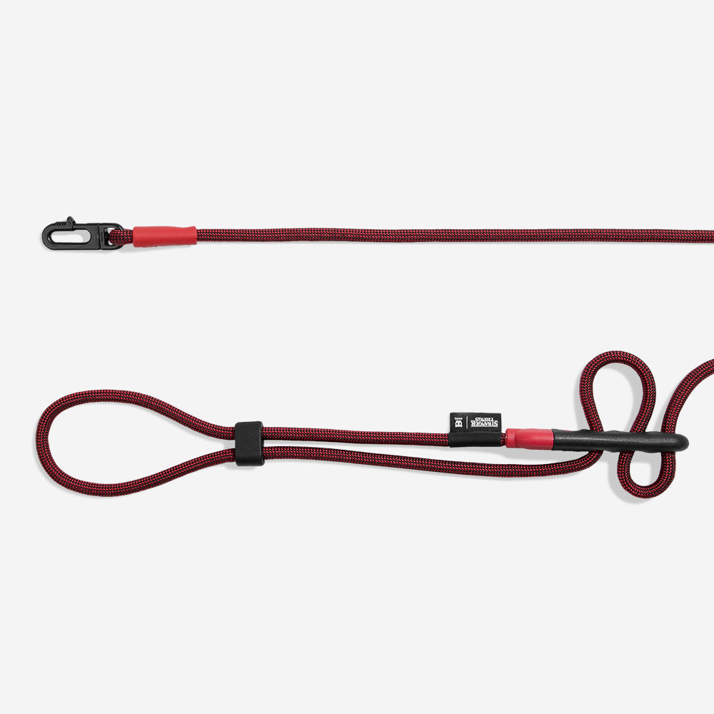 STRANGER THINGS HANDSFREE LEASH