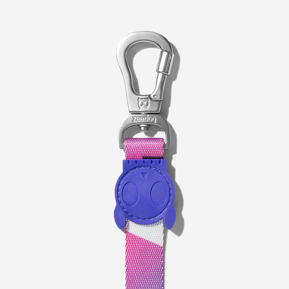 Midnight Leash