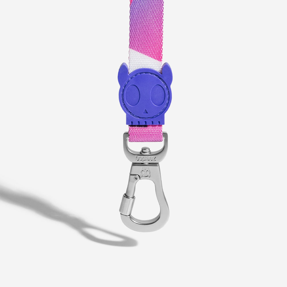 Midnight Leash