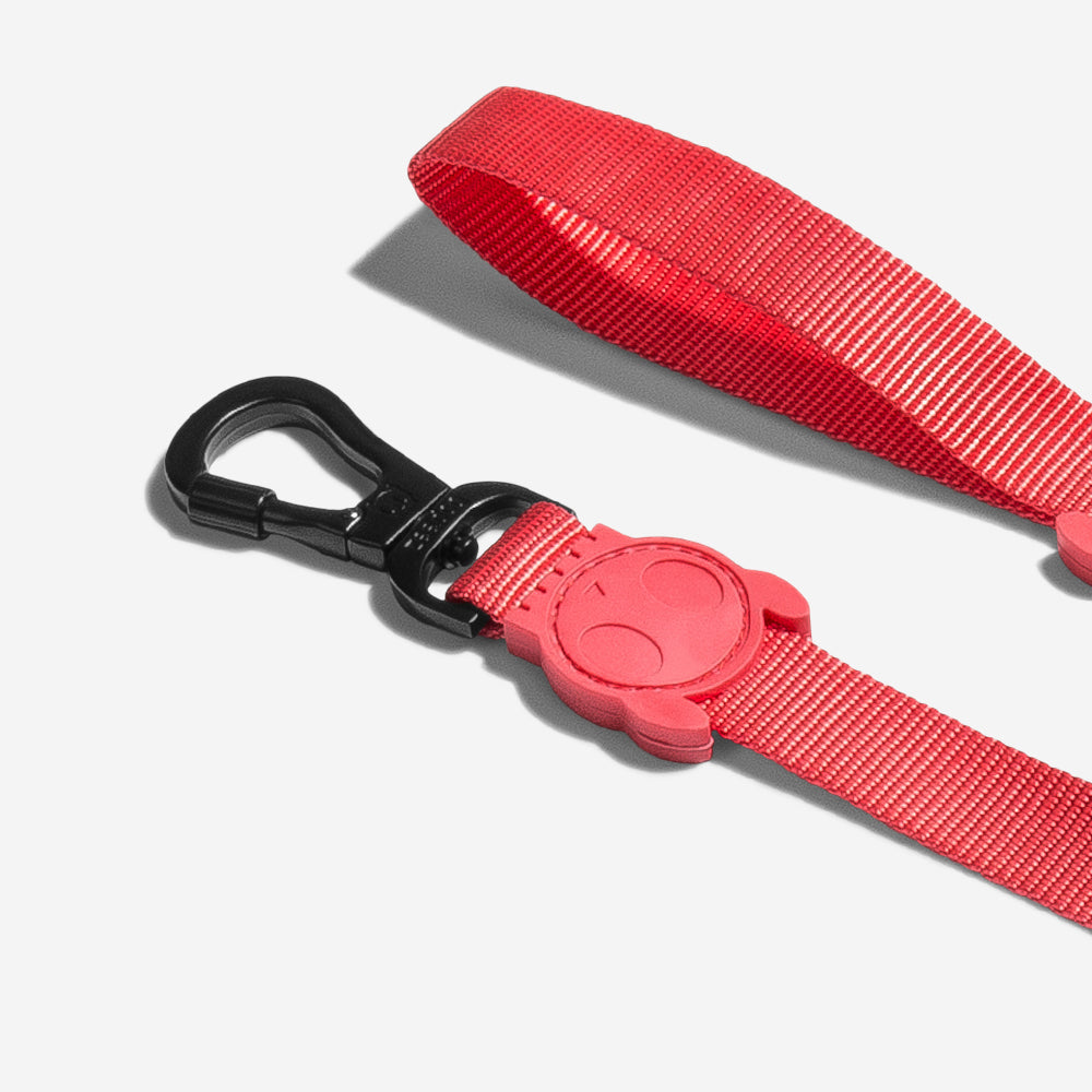 NEON CORAL LEASH
