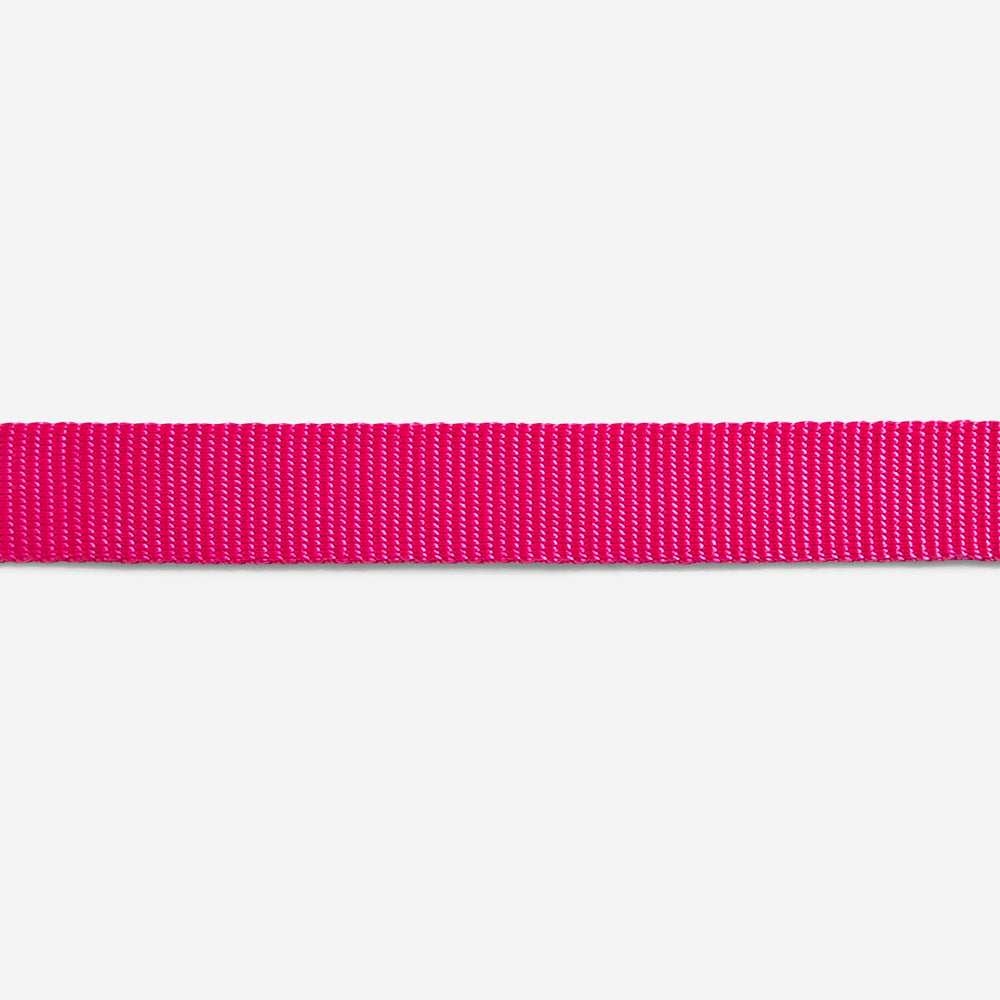 PINK LED LEASH