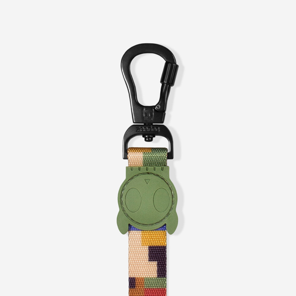 PIXEL LEASH