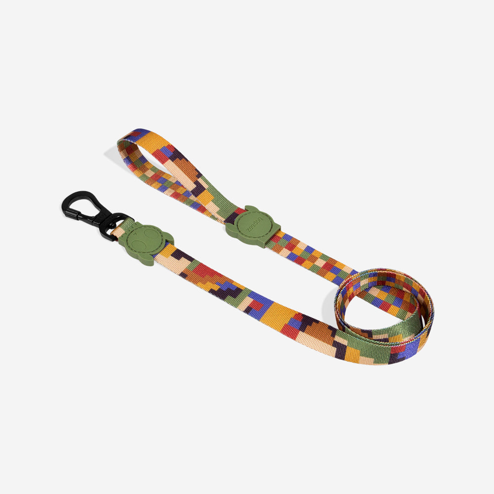 PIXEL LEASH