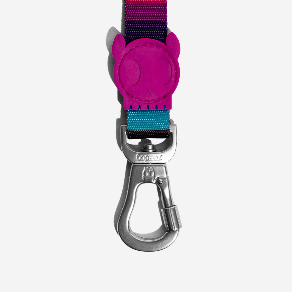 PRISMA LEASH