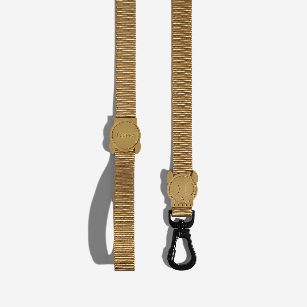 SAND LEASH