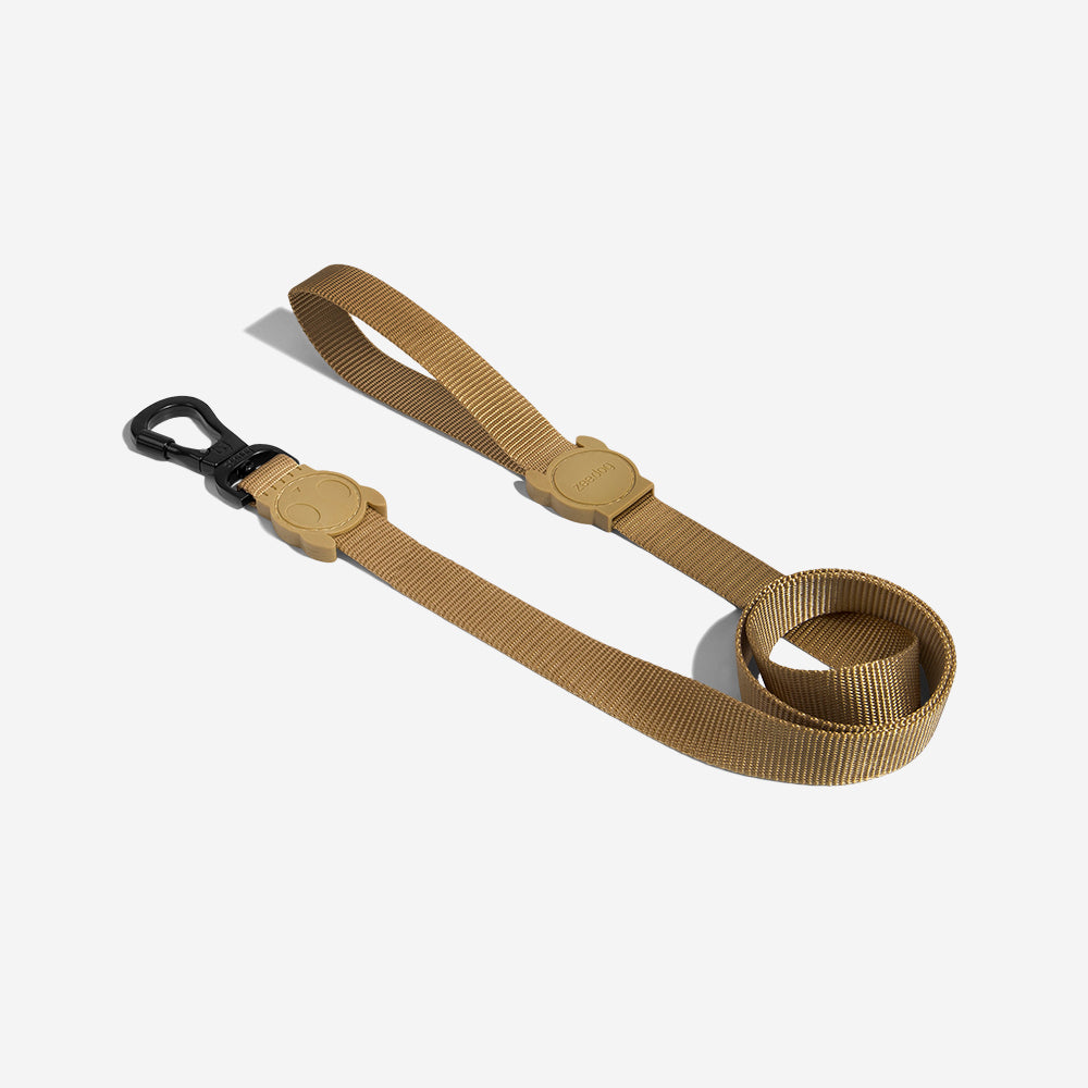 SAND LEASH
