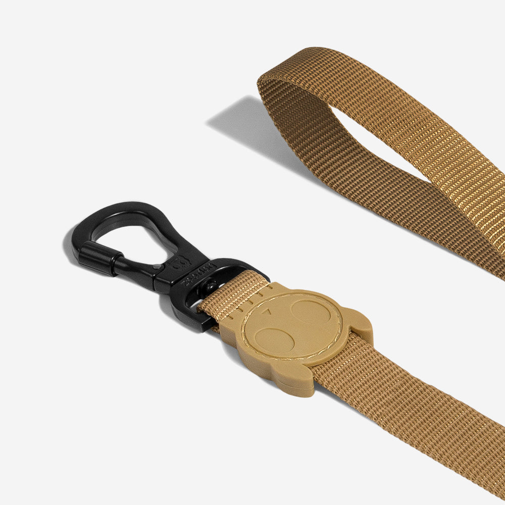 SAND LEASH