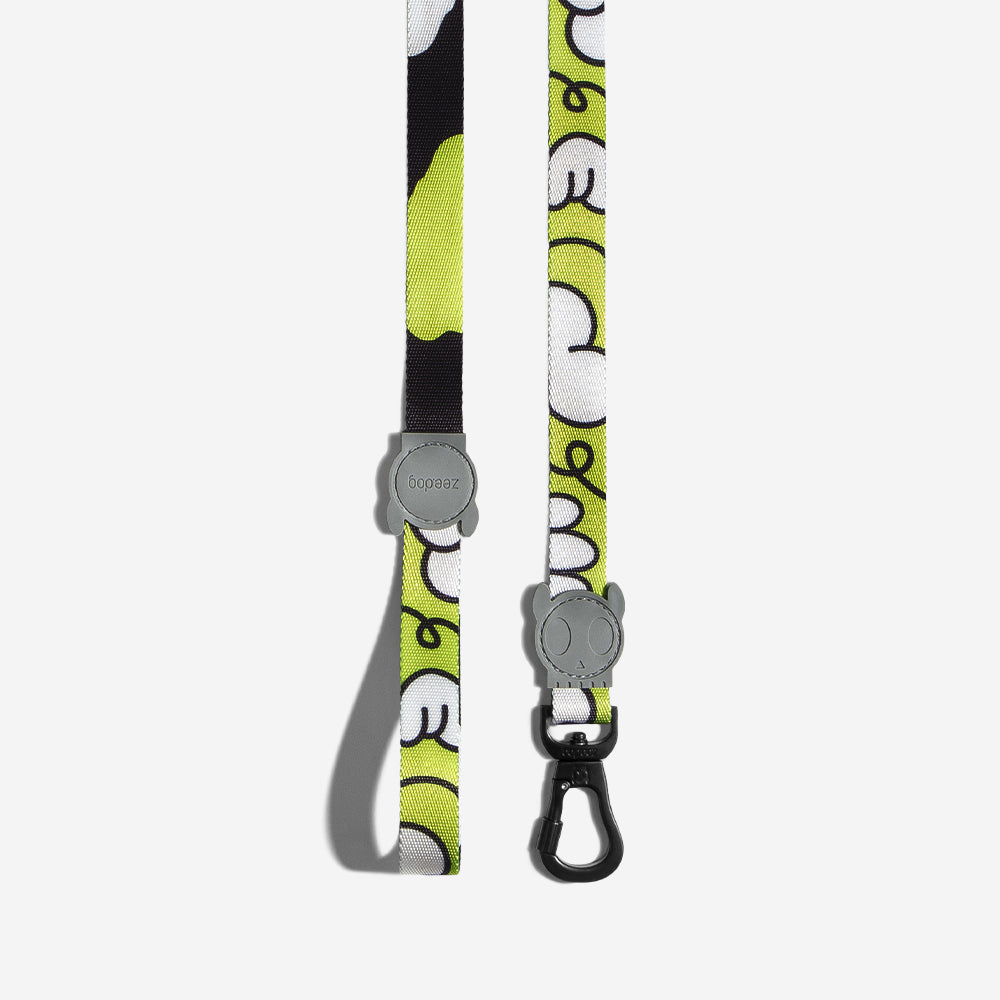 SMASH LEASH