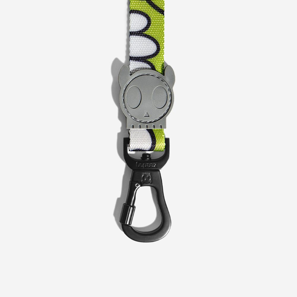 SMASH LEASH