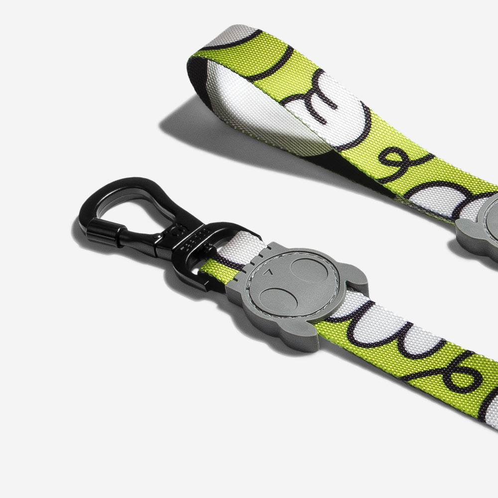 SMASH LEASH